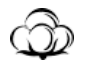 checklist icon